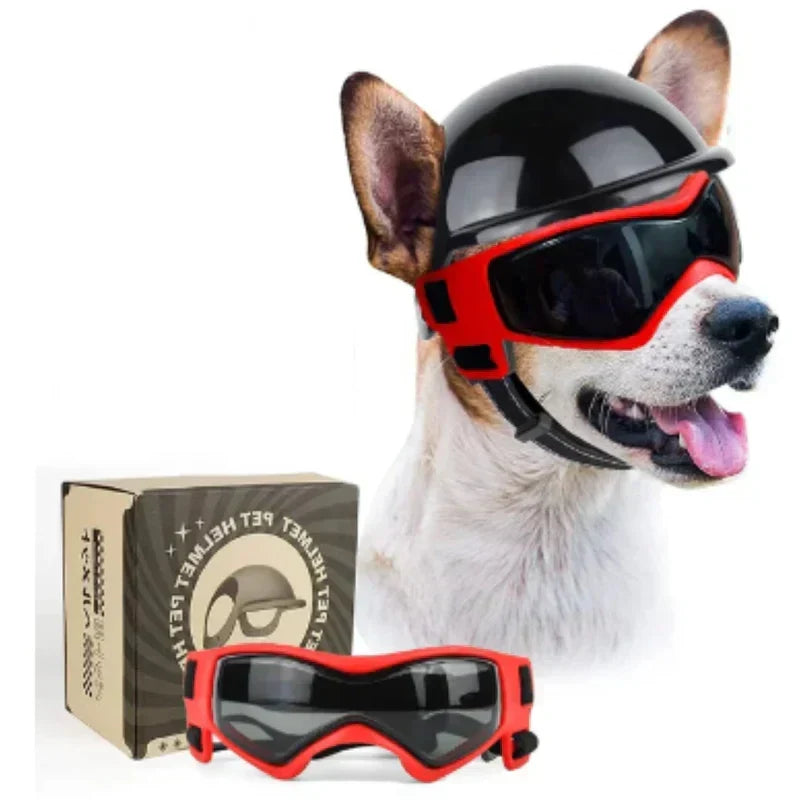 Small dog in a stylish pink helmet and goggles, essential pet safety accessory
