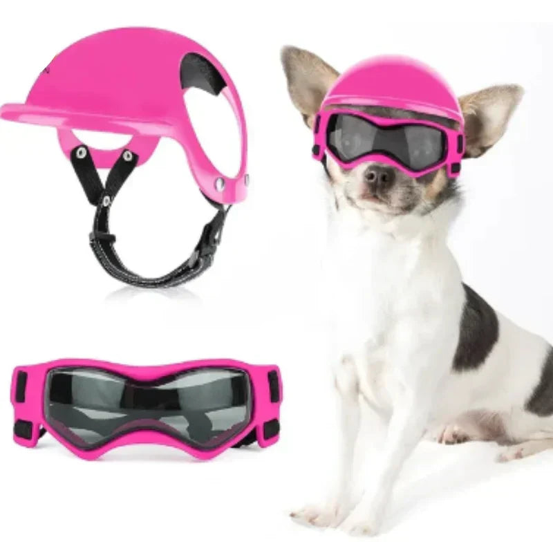 Close-up of dog's face with protective goggles and helmet, outdoor dog gear