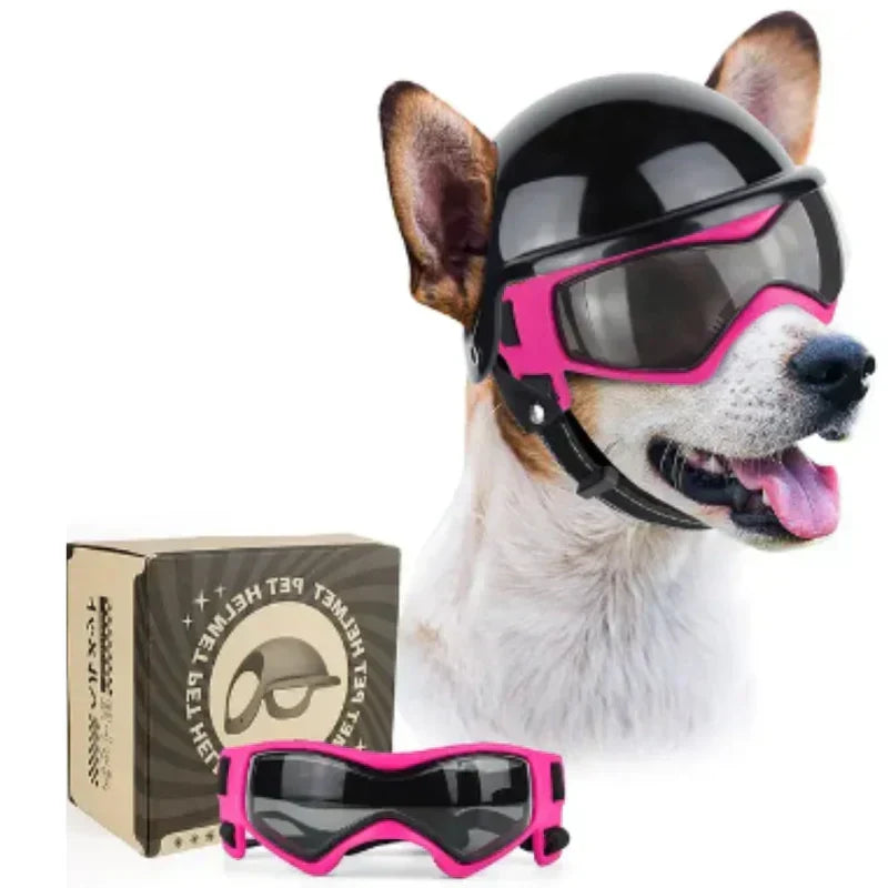 Golden retriever in a robust dog helmet & goggles, ideal for pet safety outdoors