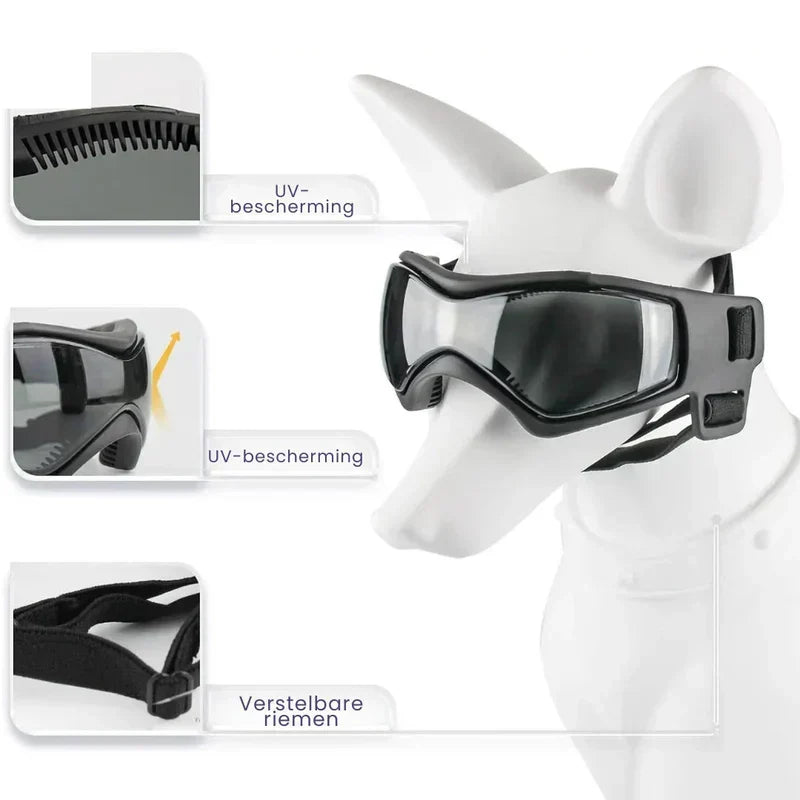 Dog riding in car, wearing helmet with goggles for ultimate eye protection