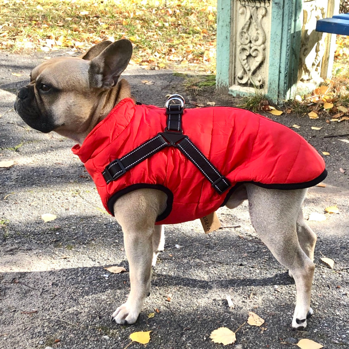 Dog Jacket | Wind & Water-Repellent | Integrated Harness | DoggyKonig