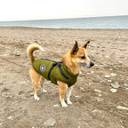 Dog Jacket | Wind & Water-Repellent | Integrated Harness | DoggyKonig