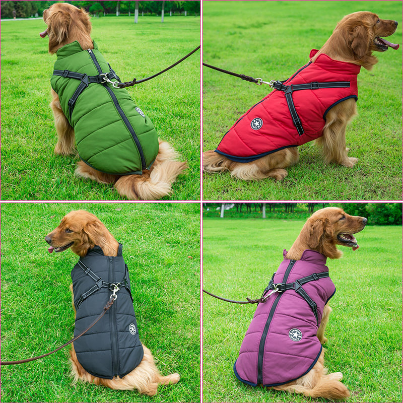 Dog Jacket | Wind & Water-Repellent | Integrated Harness | DoggyKonig