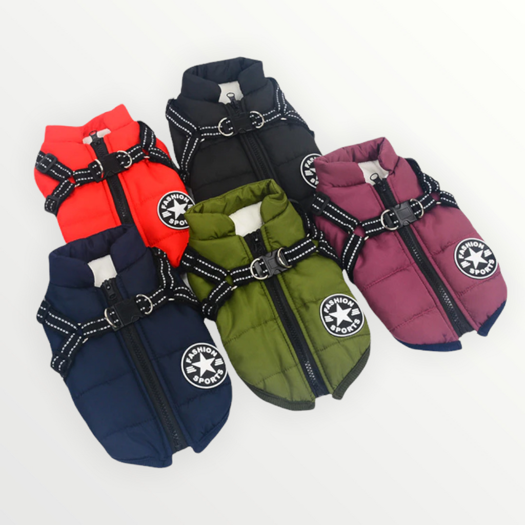 Dog Jacket | Wind & Water-Repellent | Integrated Harness | DoggyKonig