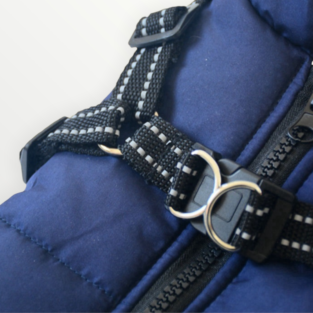 Dog Jacket | Wind & Water-Repellent | Integrated Harness | DoggyKonig