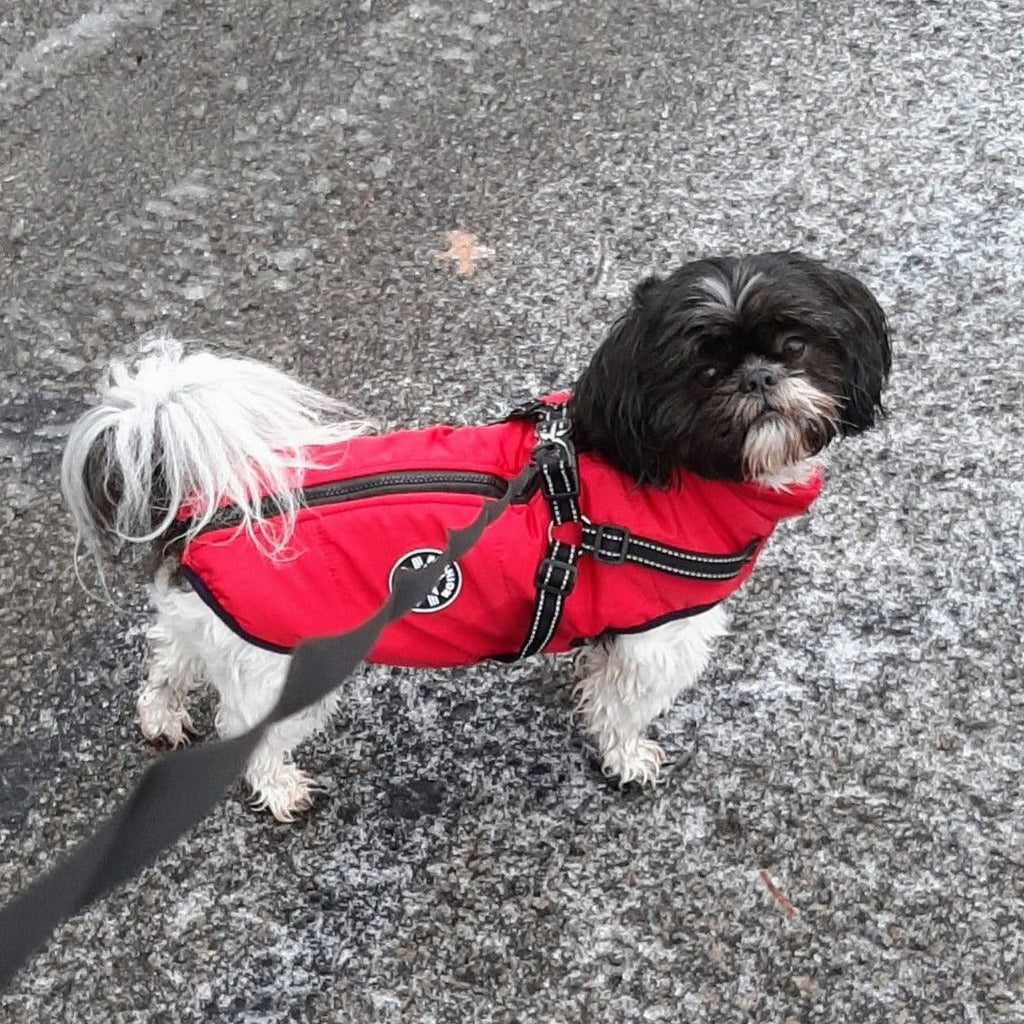 Dog Jacket | Wind & Water-Repellent | Integrated Harness | DoggyKonig