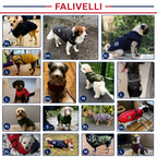 3-in-1 Winter Coat for Dogs with Harness | Padded, Waterproof and Windproof