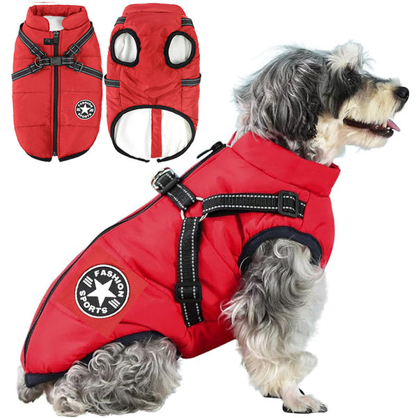 3-in-1 Winter Coat for Dogs with Harness | Padded, Waterproof and Windproof