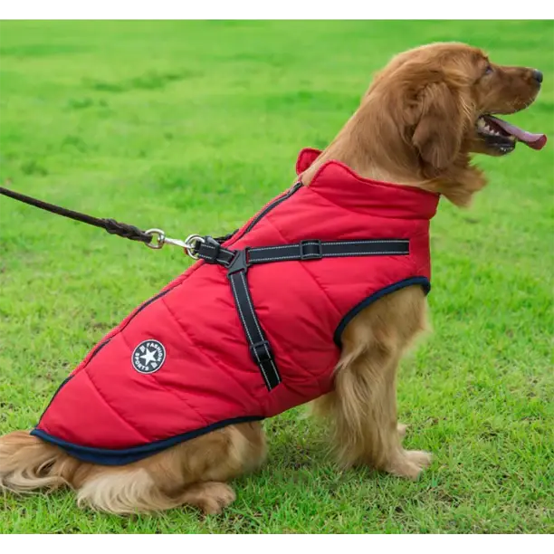 3-in-1 Winter Coat for Dogs with Harness | Padded, Waterproof and Windproof