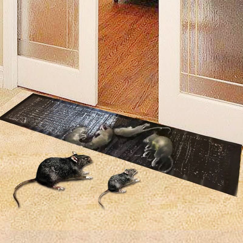 Glue trap | Non-toxic pest control | Large surface area | TrapZone