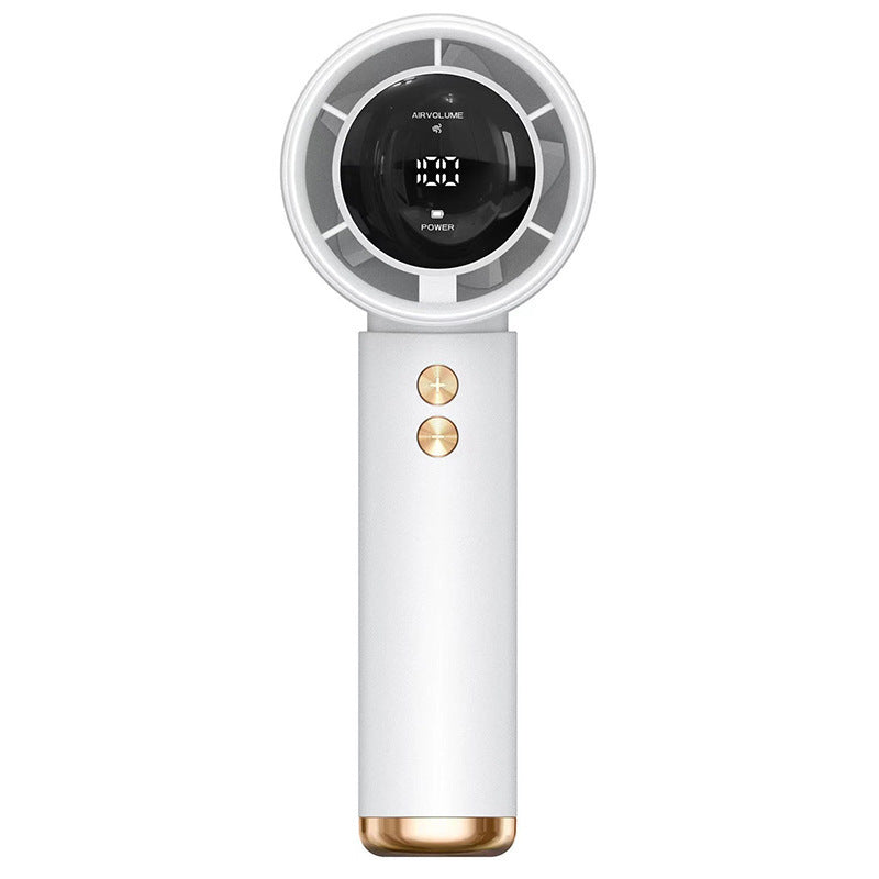 Men's Hair Dryer
