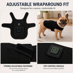 Pet red and near-infrared light wrap lifestyle image