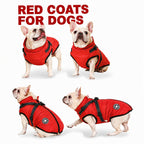 3-in-1 Winter Coat for Dogs with Harness | Padded, Waterproof and Windproof
